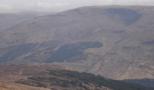 DSC06291.JPG