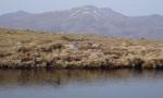 DSC06326.JPG
