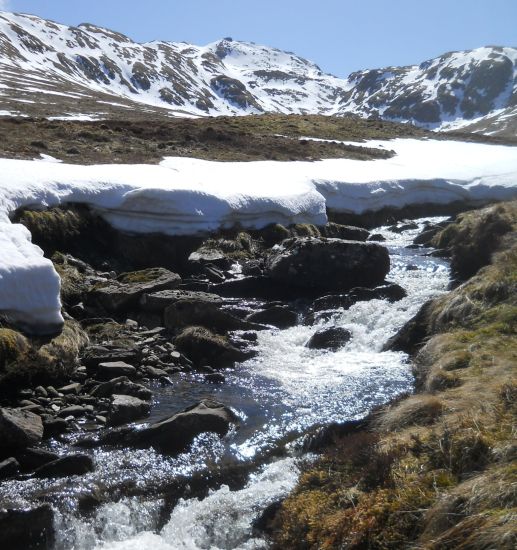 Tarmachan Ridge from Coire Riadhailt