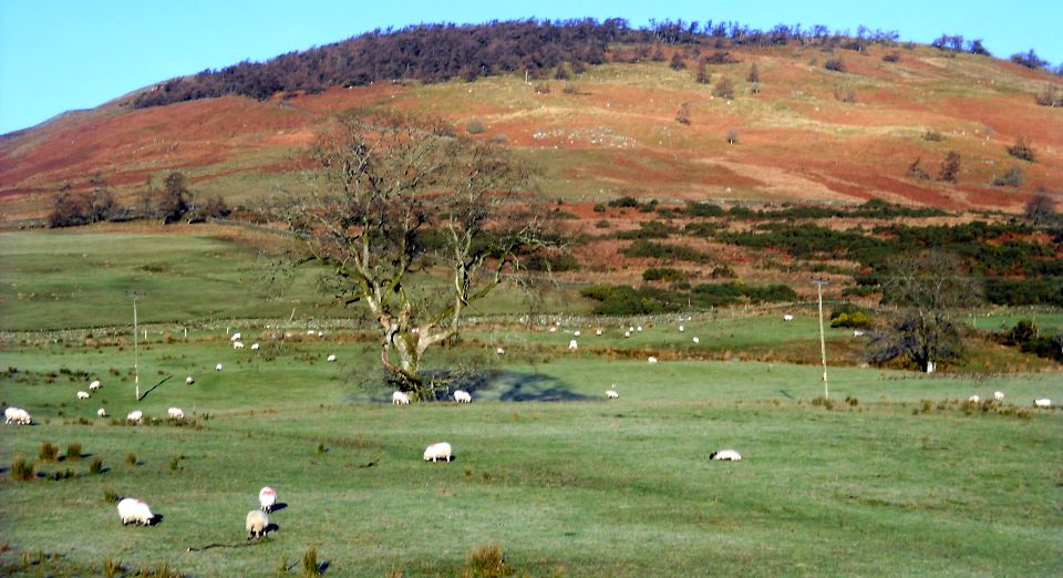 Creachan Hill above Glen Finglas