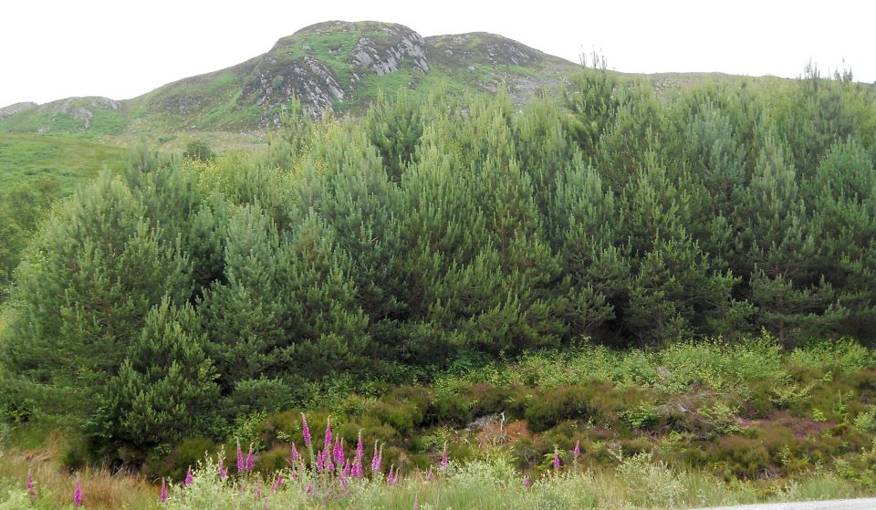 Creag Mor on Beinn Uird