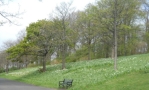 DSCN2949.JPG