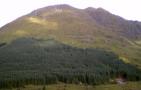 IMGP0082.JPG