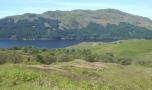 DSC02145.JPG