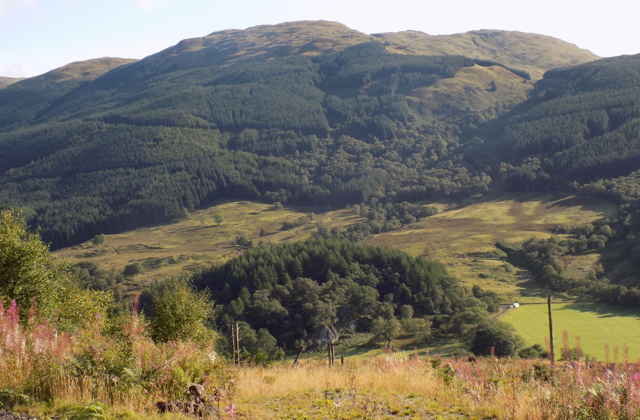 Meall Garbh on ascent of Ben Ledi