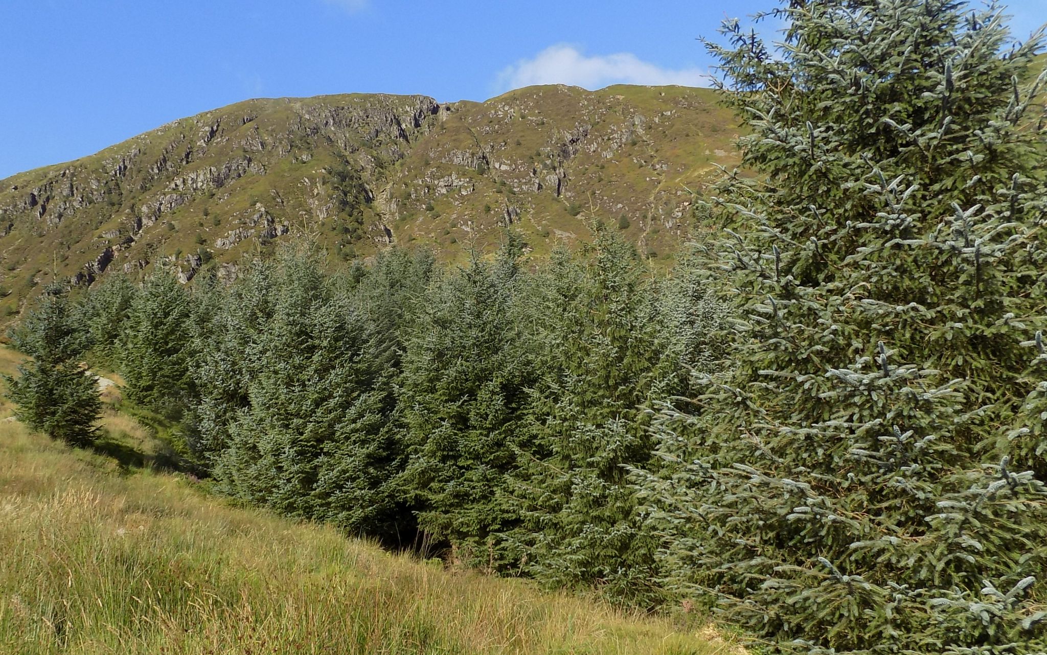 Rock crags on SE Face of Ben Ledi