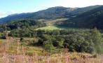 DSCN1398.JPG