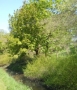DSCN3046.JPG