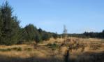 DSCN1885.JPG