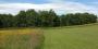 001IMG_001_BURST20240617093754.jpg