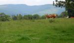 DSCN5689.JPG