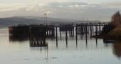 DSCN3516.JPG