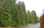DSCN1364.JPG
