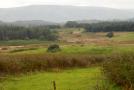 DSCN6765.JPG