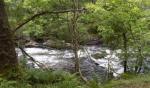 DSCN1172.JPG