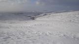 DSC03938.JPG