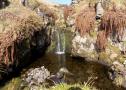 DSCN6588.JPG