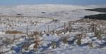 DSCN3878.JPG