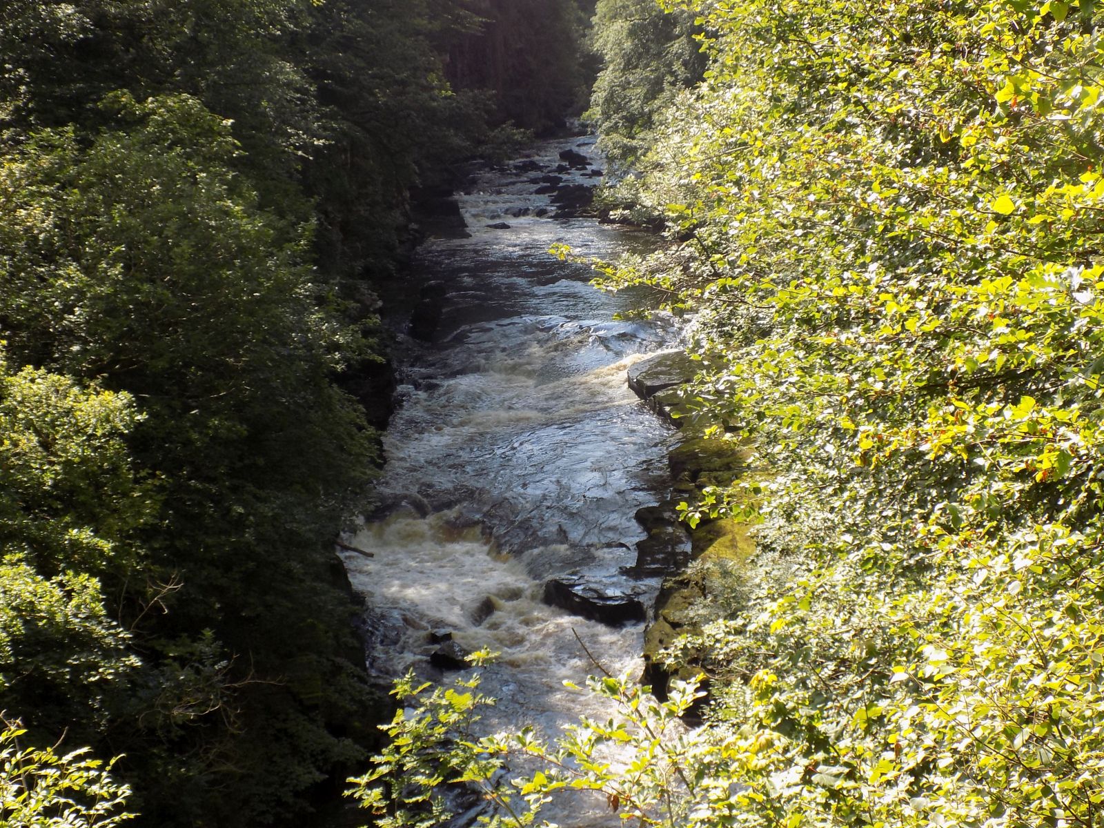 The Falls of Clyde