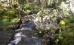 DSCN0361.JPG
