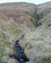 DSCN2175.JPG