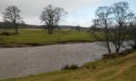DSCN4321.JPG