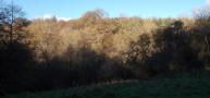 DSCN0135.JPG
