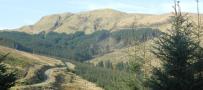 DSCN3215.JPG