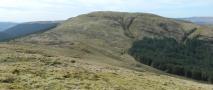 DSCN3231.JPG