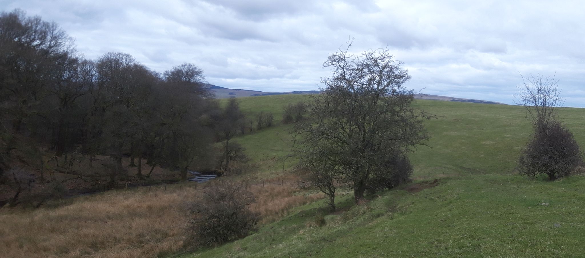 Walton Burn