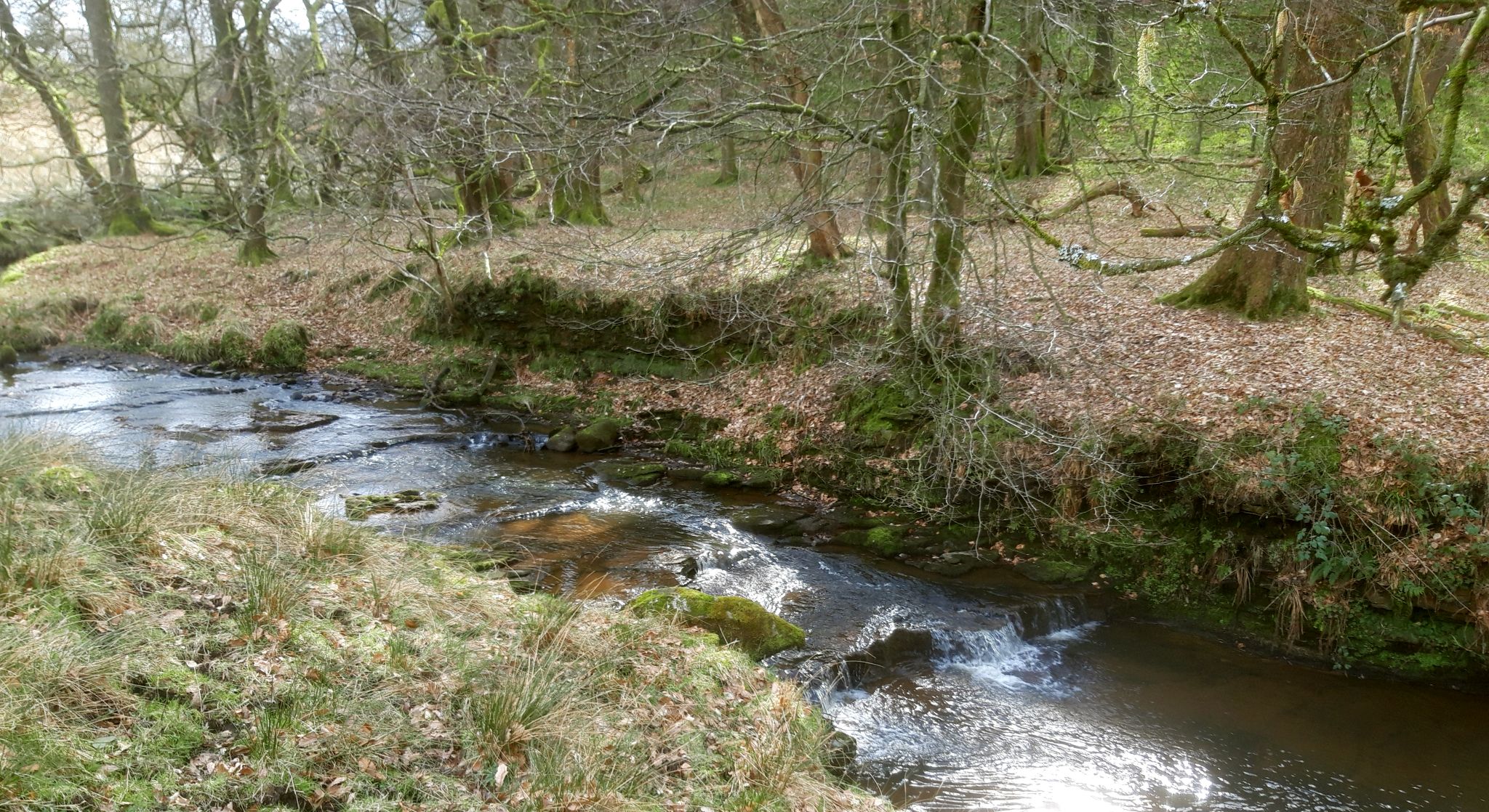 Walton Burn