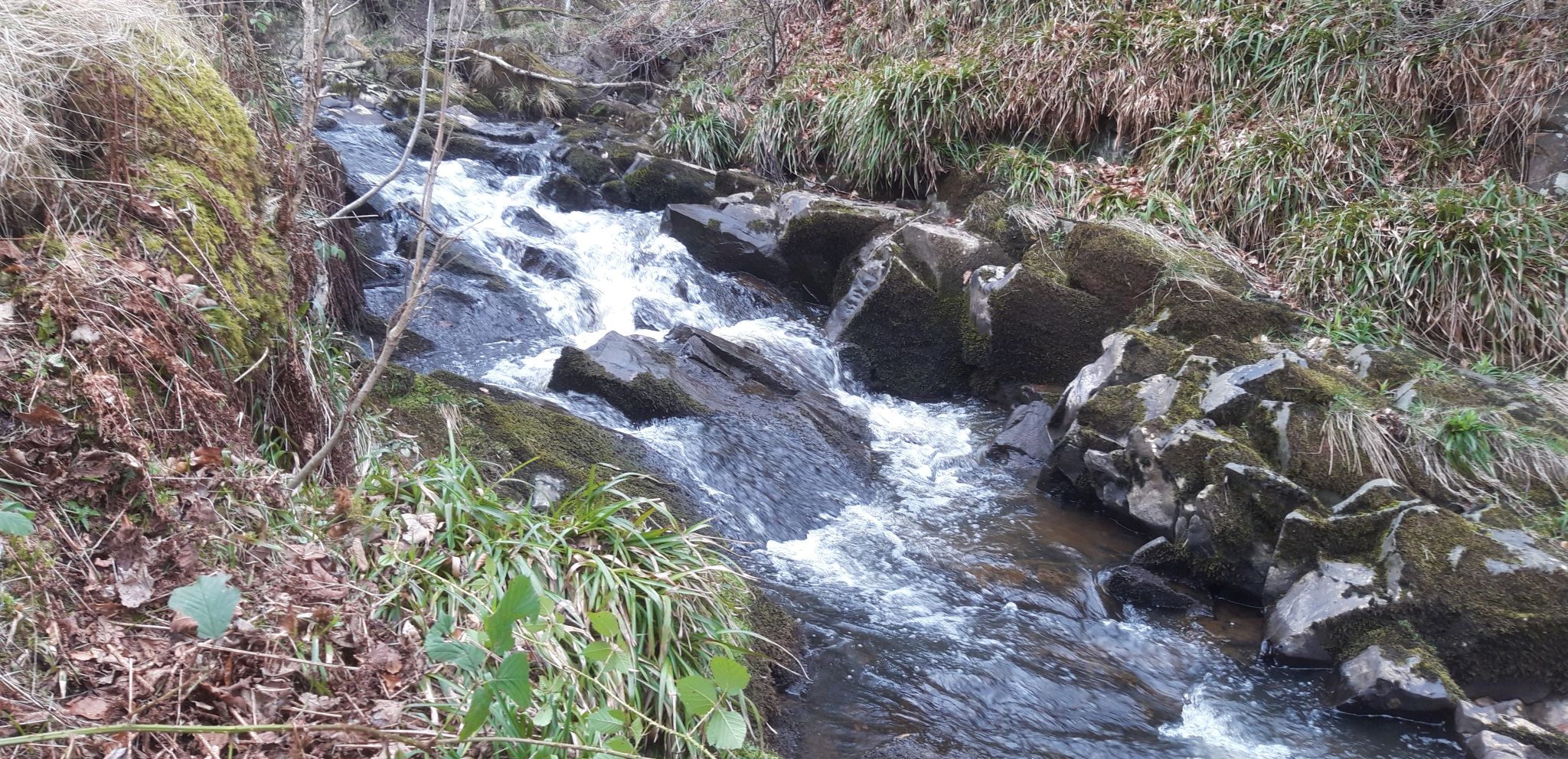 Falls on Walton Burn