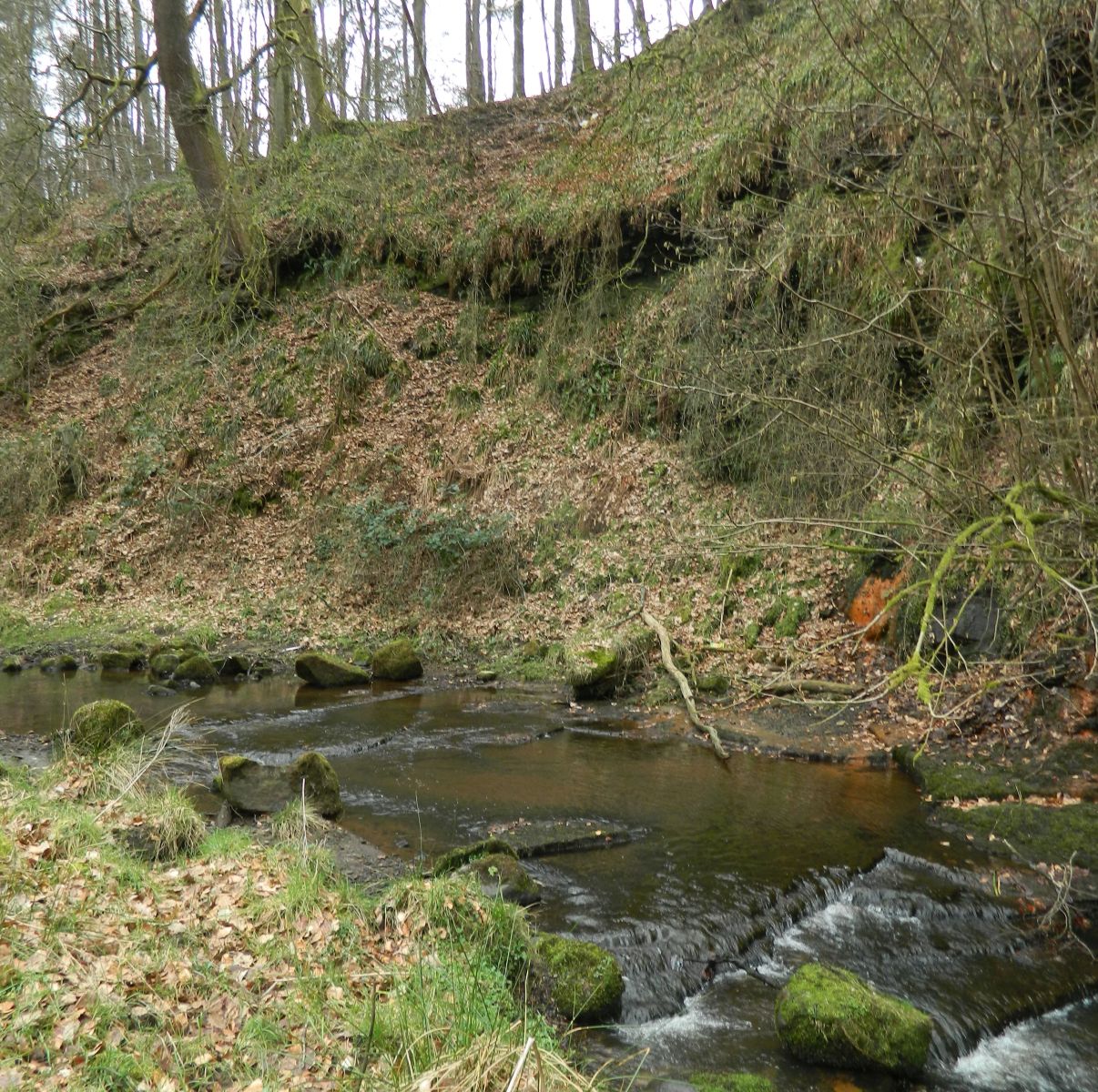 Walton Burn at Cumbernauld