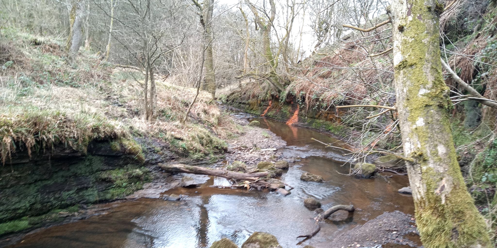 Walton Burn at Cumbernauld
