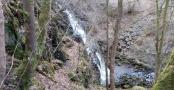 20250316_125538.jpg