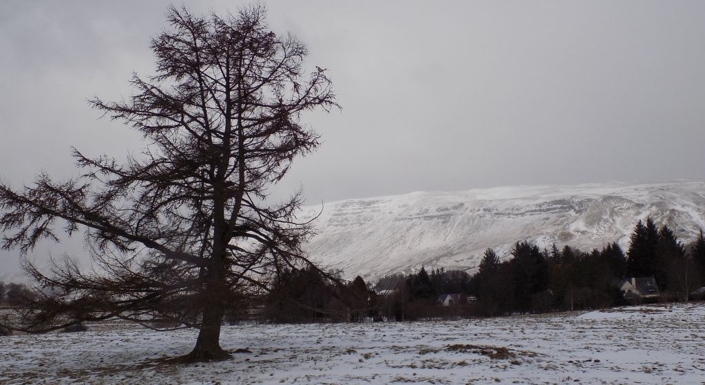 Campsie Fells from Deil's Craig Dam