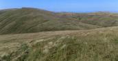 DSCN4367.JPG