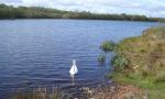 DSC06361.JPG