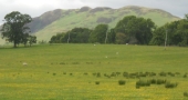 DSCN3593.JPG