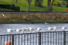DSCN4118.JPG