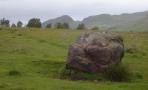 DSC06518.JPG