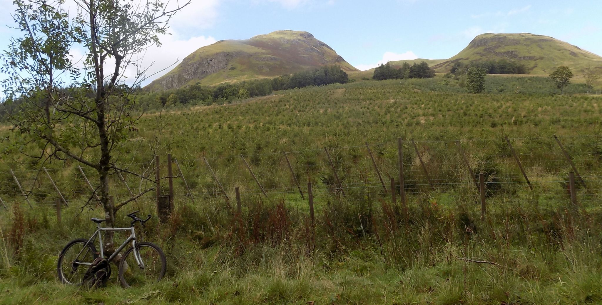 Dumgoyne and Dumfoyne in the Campsie Fells