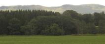 DSCN3929.JPG