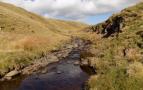 DSCN3968.JPG
