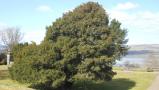 DSCN2677.JPG