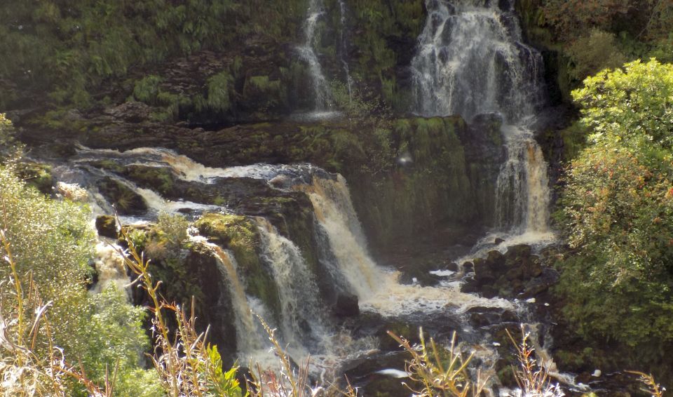 Fintry Loup on the Endrick Water