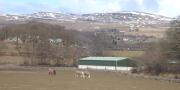 DSC04182.JPG