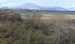 DSC07784.JPG