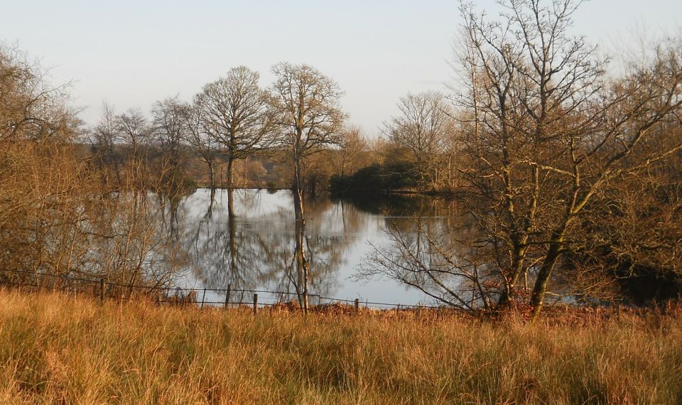 Duck pond at Gartmore House
