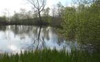 DSCN2554.JPG